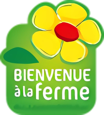 logo-balf-large
